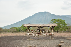 Taman Nasional Baluran